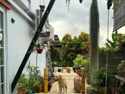 Shamrock Park (D10), Semi-Detached #497302651